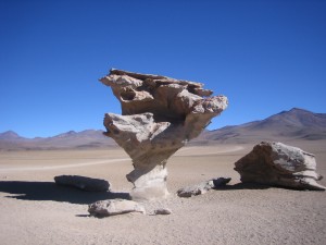 Arbol_de_Piedra