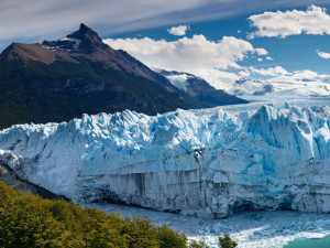 Calafate