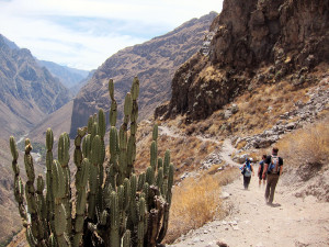 colca trek 2