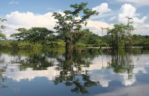 Cuyabeno-River-Amazon
