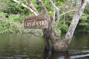 cuyabeno