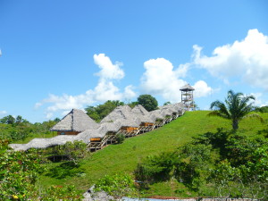 jungle lodge iquitos