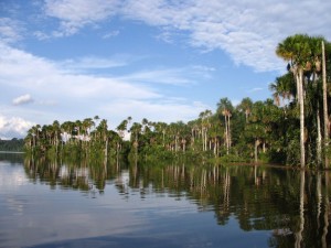 sandoval-lake-puerto-maldonado-