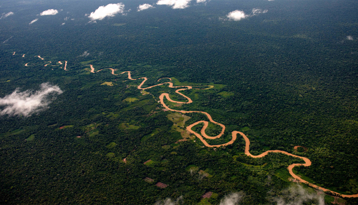 Manu Reserve Zone South Peru Jungle Pantiacolla Days