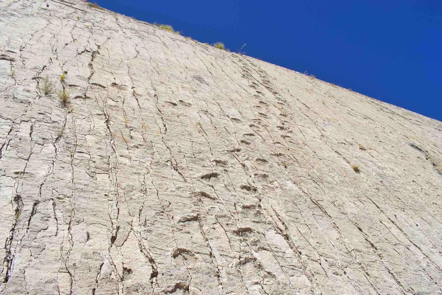 Parque-Cretacico-Sucre-Bolivia’s-Dinosaur-Footprints