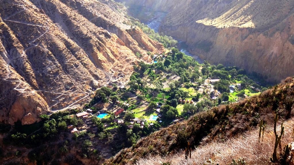 colca canyon oasis